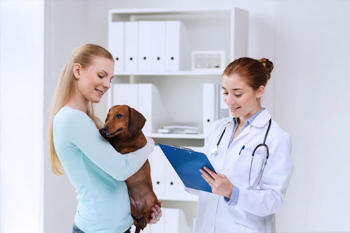 ЭЦП для оформления ветеринарных сертификатов (ГИС Меркурий) в Кавалерове